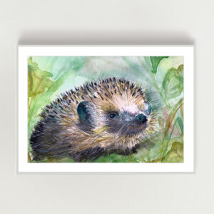 Hedgehog Print