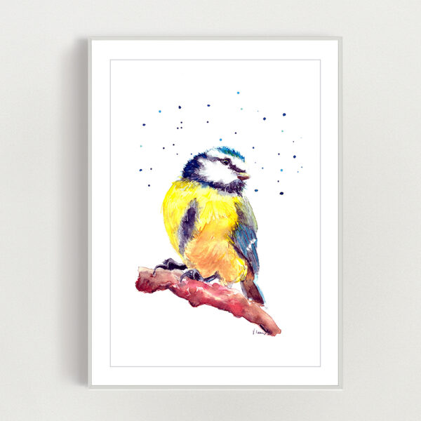 Blue Tit Print