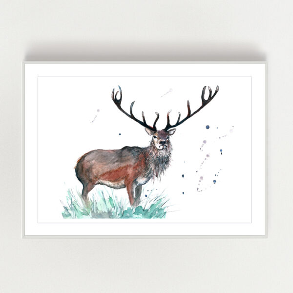 Stag Watercolour Print