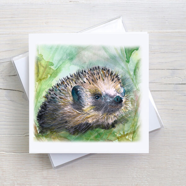 Hedgehog Greeting Card