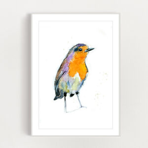 Robin Wall Art Print